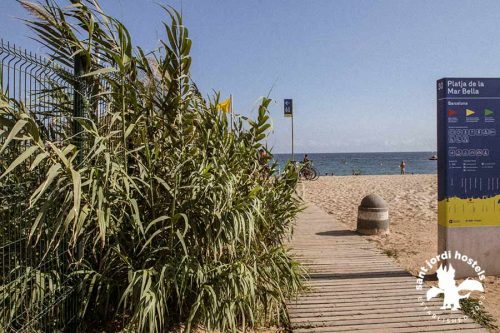500px x 333px - Barcelona Nude Beaches - Sant Jordi Hostels